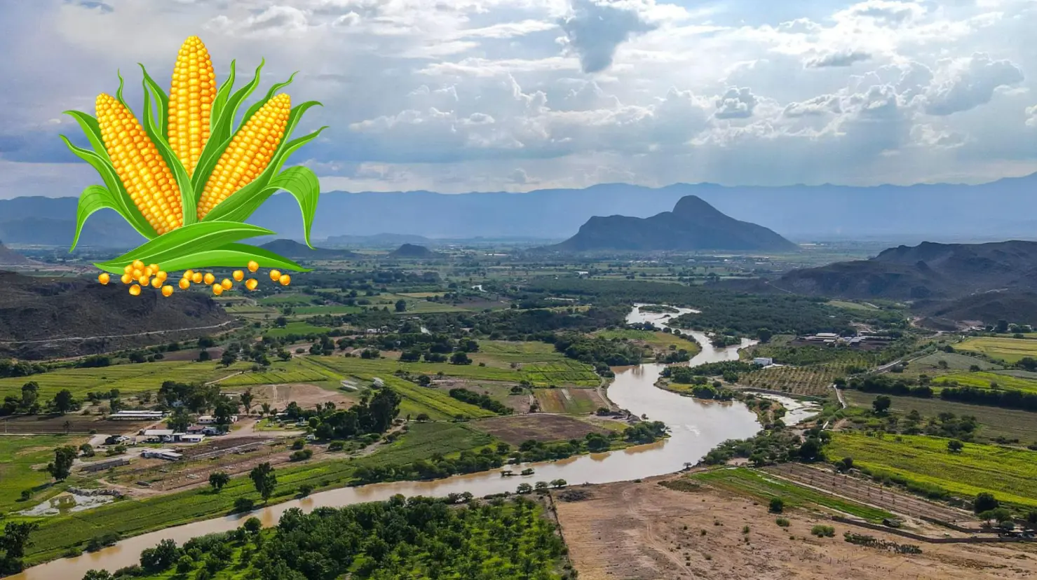 El río Nazas riega a cultivos de la zona de la Comarca Lagunera. Foto: FB León Guzmán Durango.