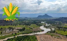 3 tipos de cultivo que son prósperos en las márgenes del río Nazas