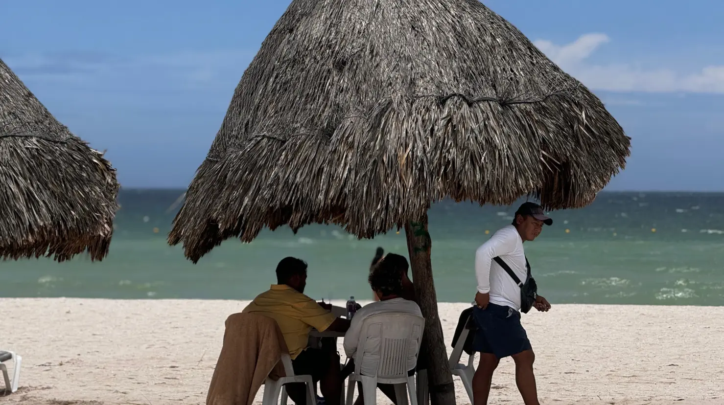 ¿Qué percepción tiene la ciudadanía al comer pescados y mariscos?. Foto: Irving Gil