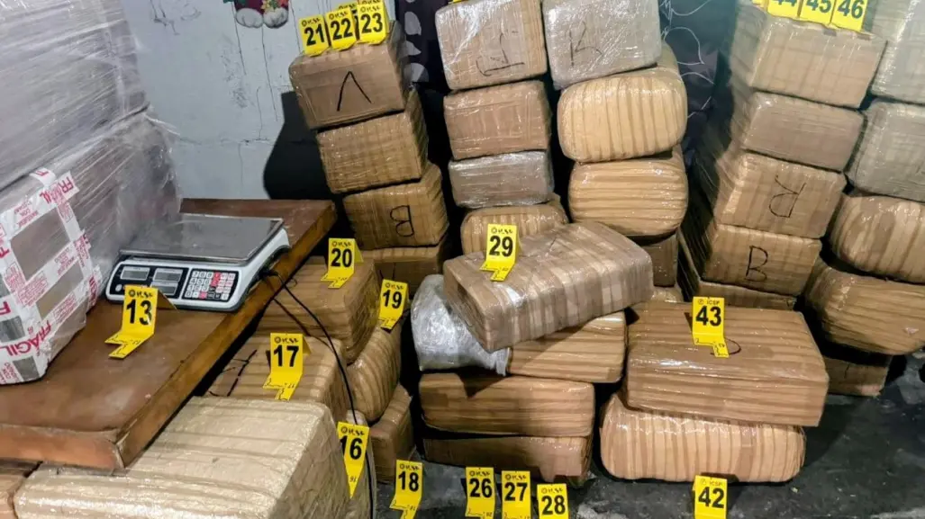 Aseguran 700 kilos de marihuana tras cateo en la colonia Fabriles de Monterrey