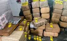 Aseguran 700 kilos de marihuana tras cateo en la colonia Fabriles de Monterrey