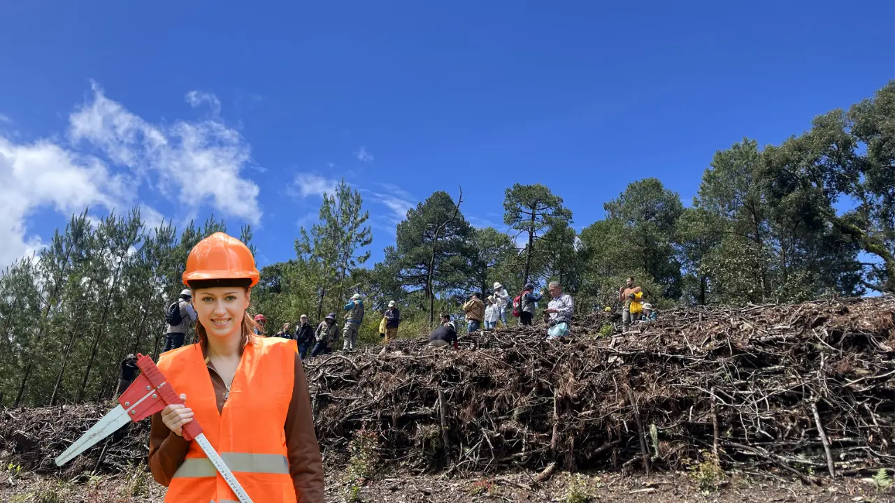 Las personas que se interesan por el aprovechamiento del bosque y el medio ambiente tienen diversas opciones de estudio. Foto: Especial.
