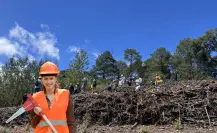 Las carreras que ofrece la universidad más grande de Durango si te interesa el cuidado del bosque