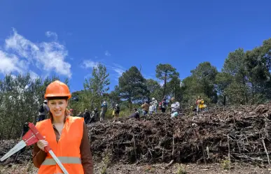 Las carreras que ofrece la universidad más grande de Durango si te interesa el cuidado del bosque