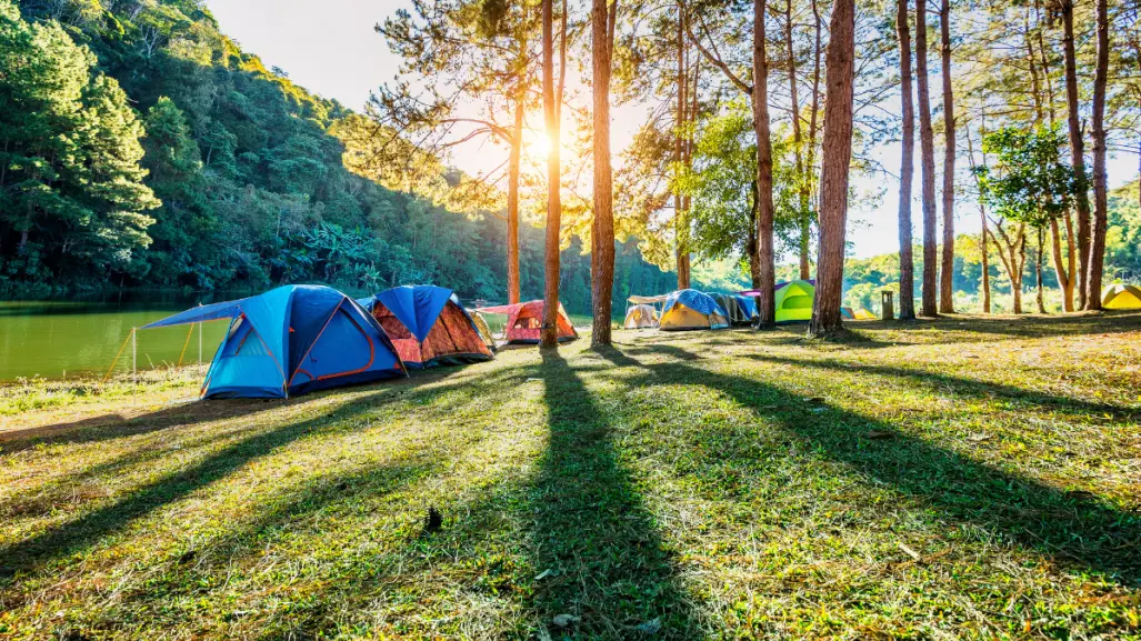 El desconocido bosque del Edomex perfecto para acampar entre ocotes de 35 metros