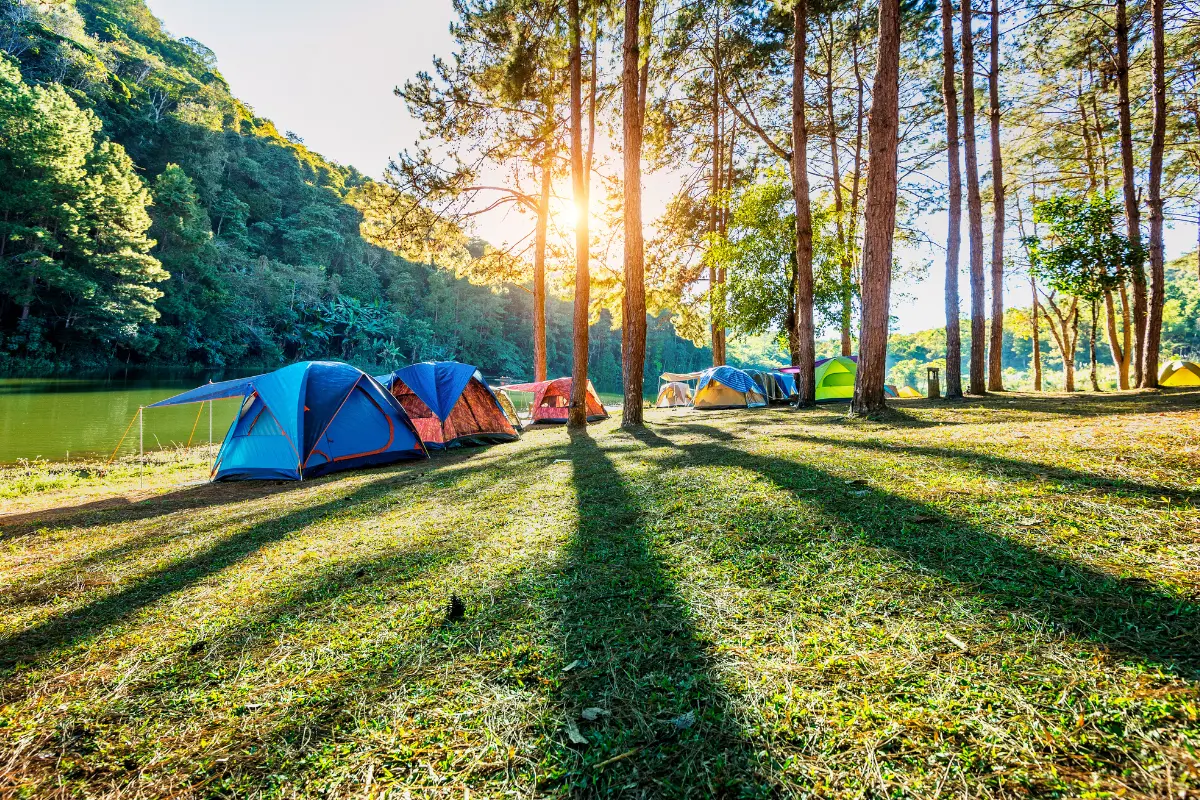 Zona para acampar rodeados de naturaleza. Foto: Freepik