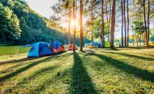 El desconocido bosque del Edomex perfecto para acampar entre ocotes de 35 metros