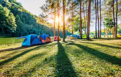 El desconocido bosque del Edomex perfecto para acampar entre ocotes de 35 metros