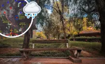 Clima en Coahuila: ¿qué temperaturas algazara el estado este martes 19 de agosto? 