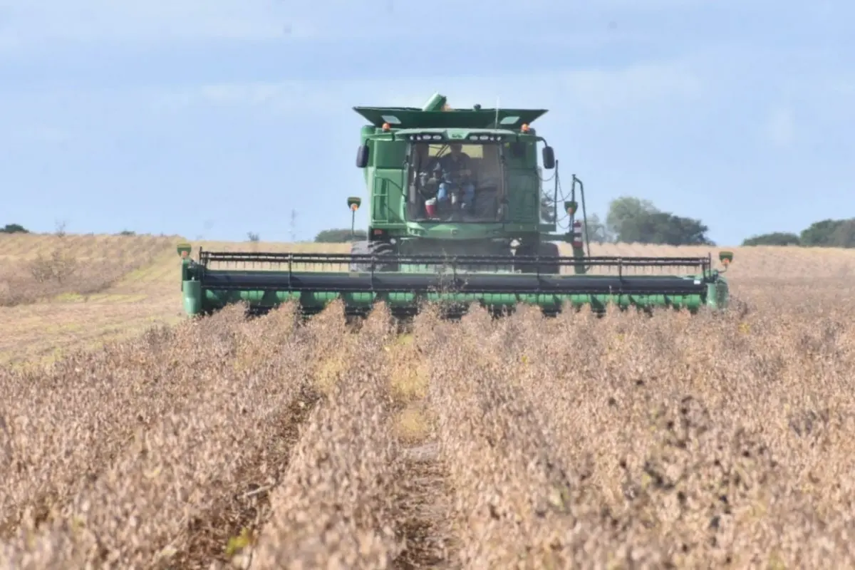 Agricultores señalan que, sin respaldo institucional, el campo enfrenta un panorama crítico que podría afectar la producción de sorgo y maíz. Foto: Gobierno del Estado