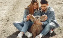 CDMX aprueba custodia compartida de mascotas en divorcios para garantizar sus derechos