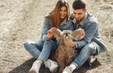 CDMX aprueba custodia compartida de mascotas en divorcios para garantizar sus derechos
