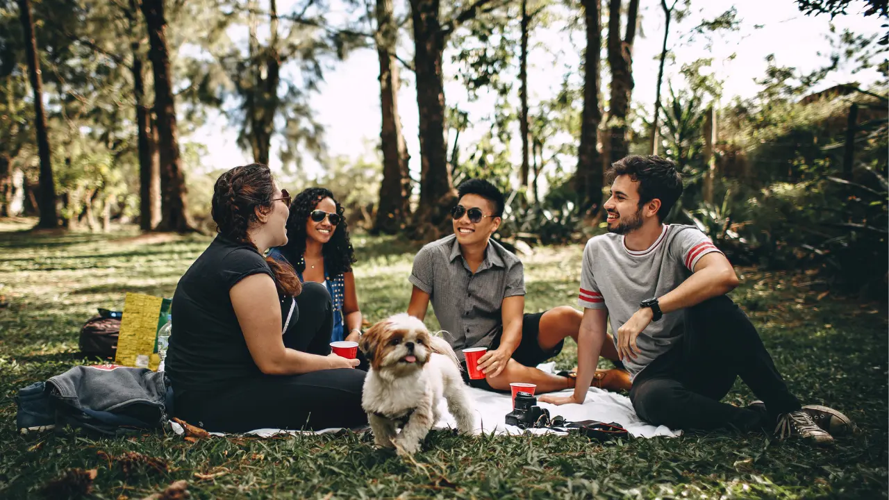 El río Nazas ofrece diversos parajes para realizar días de campo con los amigos o la familia. Foto: Canva.