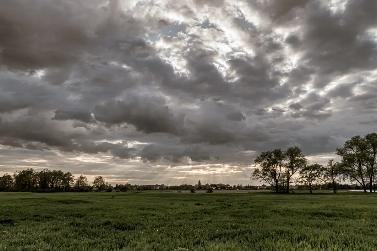 Parque durante un día nublado. Foto: Freepik