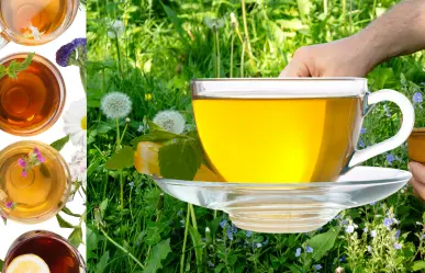 Esta planta comestible limpia los riñones y combate el hígado graso