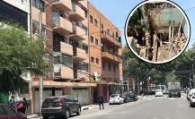 VIDEO | Explosión por acumulación de gas en Santa María la Ribera deja tres heridos