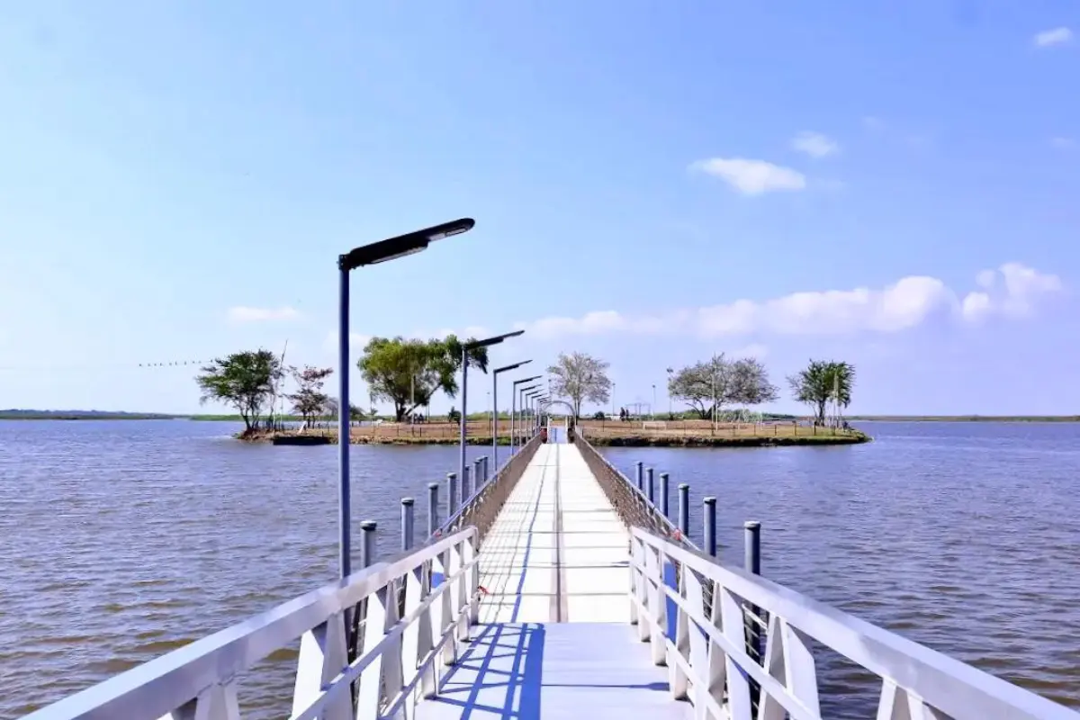 Isla de la Esperanza en Altamira, Tamaulipas | Foto: Axel Hassel