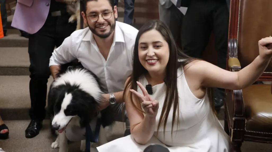 Congreso de CDMX aprueba reforma que reconoce a los animales como seres sintientes en el Código Civil