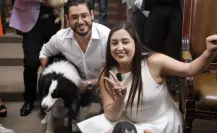 Congreso de CDMX aprueba reforma que reconoce a los animales como seres sintientes en el Código Civil