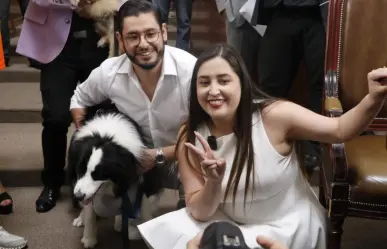Congreso de CDMX aprueba reforma que reconoce a los animales como seres sintientes en el Código Civil