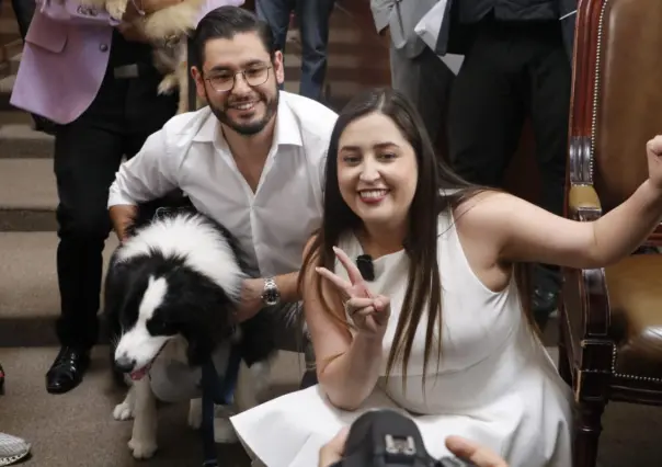 Congreso de CDMX aprueba reforma que reconoce a los animales como seres sintientes en el Código Civil