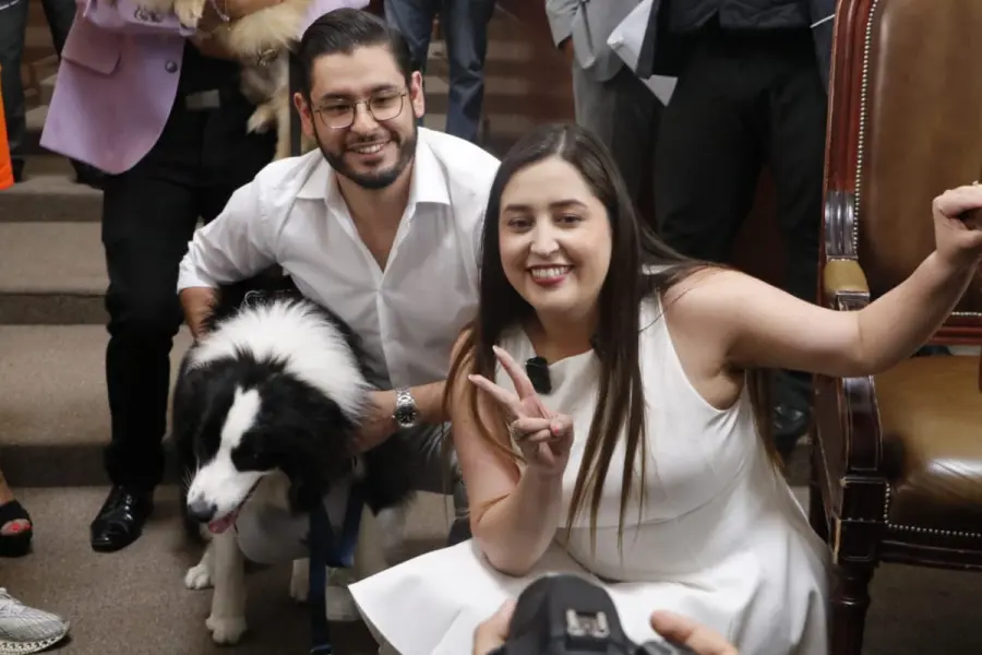 Congreso de CDMX aprueba reforma que reconoce a los animales como seres sintientes en el Código Civil