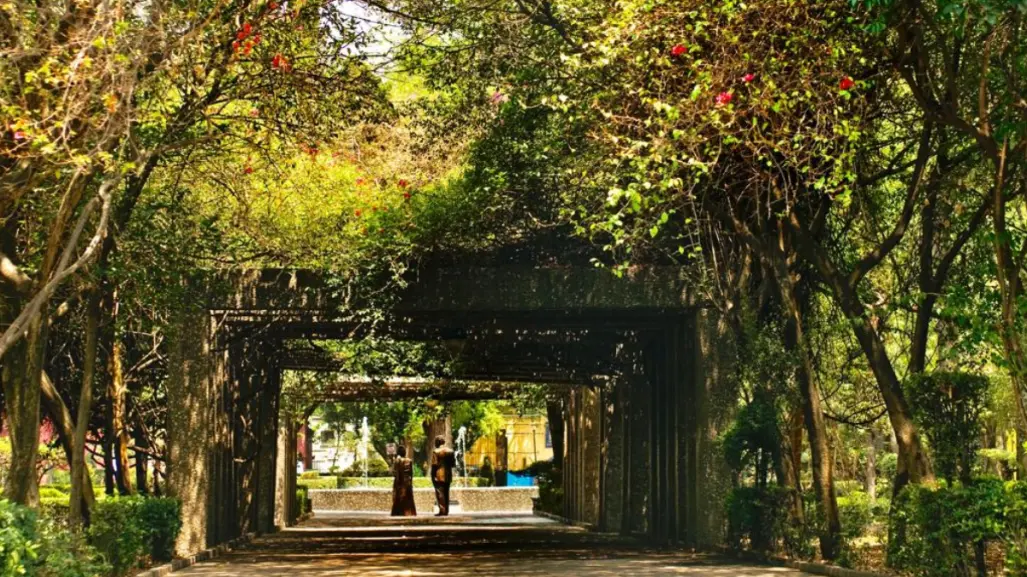 Este rincón tranquilo en Coyoacán dedicado a Frida Kahlo es ideal para leer bajo los árboles
