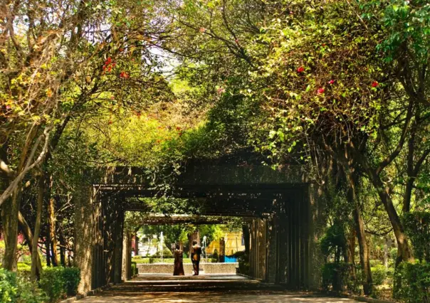 Este rincón tranquilo en Coyoacán dedicado a Frida Kahlo es ideal para leer bajo los árboles