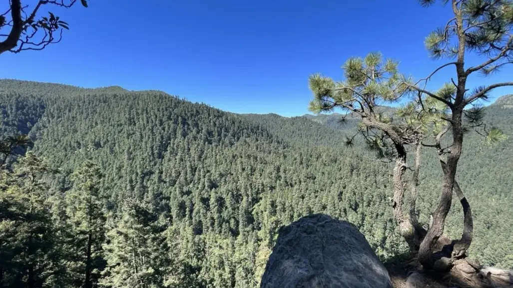 Descubre el mirador oculto de CDMX en un bosque ideal para hacer senderismo y rápel