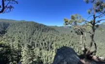 Descubre el mirador oculto de CDMX en un bosque ideal para hacer senderismo y rápel