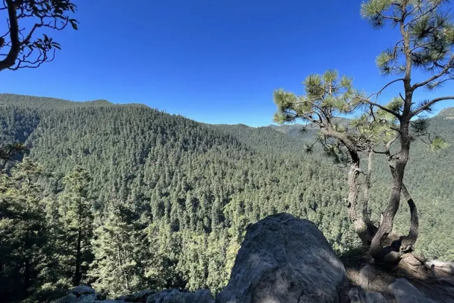 Descubre el mirador oculto de CDMX en un bosque ideal para hacer senderismo y rápel