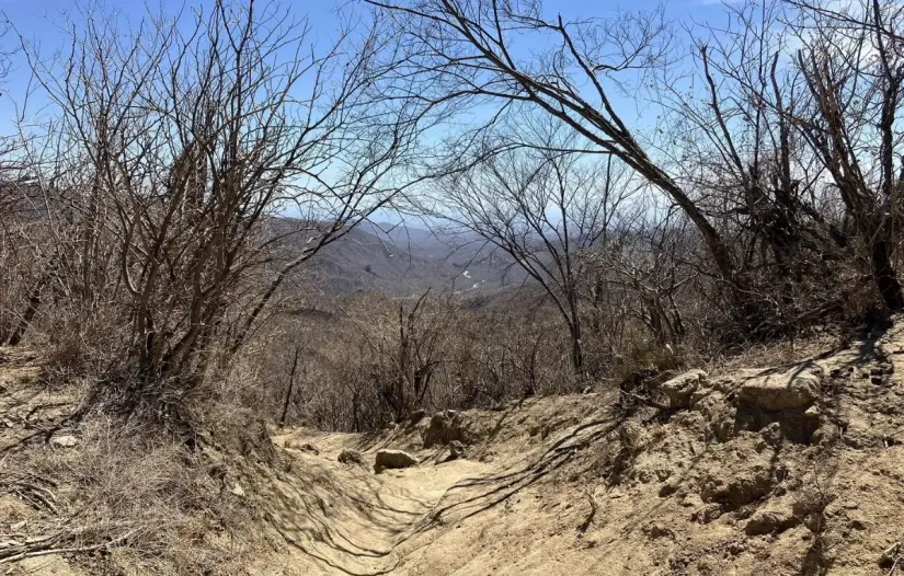 Foto: AllTrails