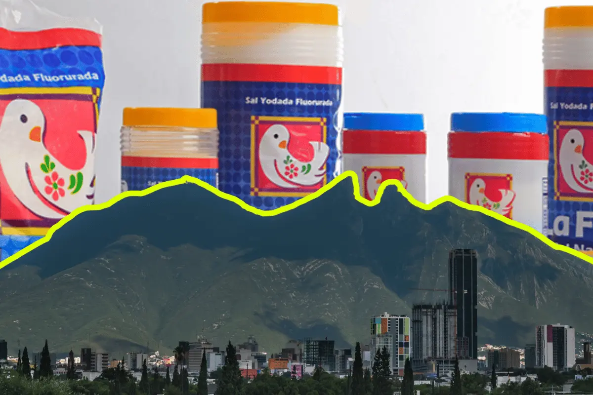 En ocho décadas, CYDSA ha incursionado en fibras, plásticos, químicos, energía y almacenamiento de gas. Foto: Canva.