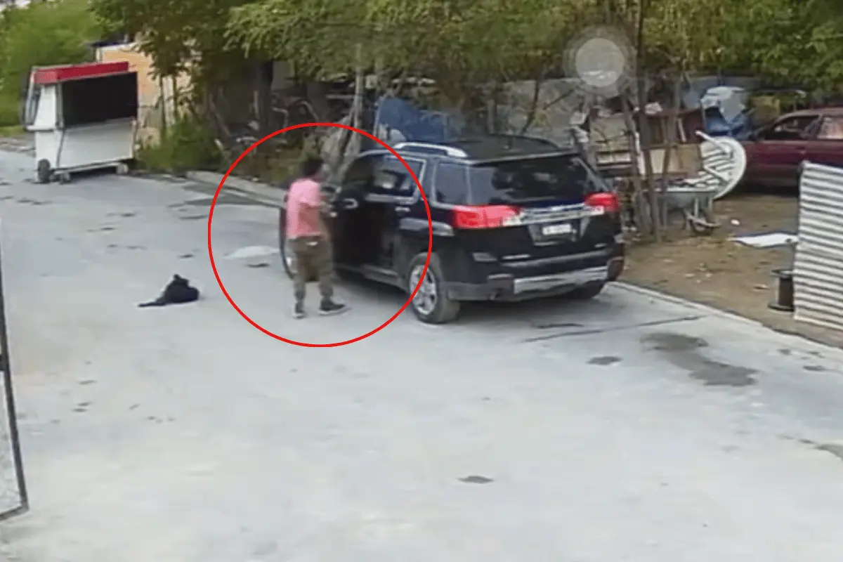 Detienen en Salinas Victoria a joven por robo de camioneta. Foto. Secretaría de Seguridad de Salinas Victoria.