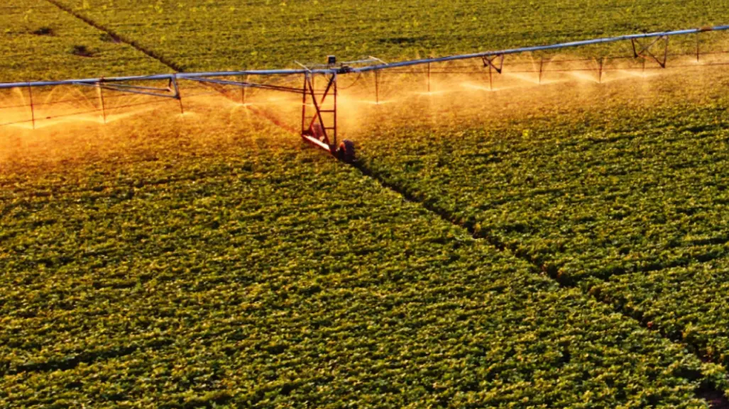6 proyectos en marcha del Programa Nacional de Tecnificación Agrícola