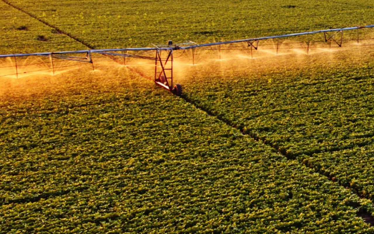 Sistema de Riego en predio agrícola. Foto: X (@conagua_mx)