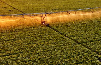 6 proyectos en marcha del Programa Nacional de Tecnificación Agrícola