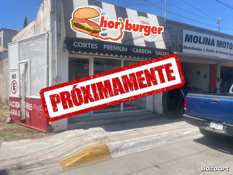imagen-cuerpo