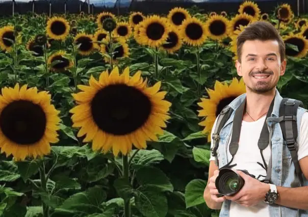 Huerta de girasoles en Arteaga: ¿Cuál es el precio del tour y qué incluye?