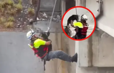 Acto heroico: perrito es salvado de ahogarse en arroyo El Obispo I VIDEO
