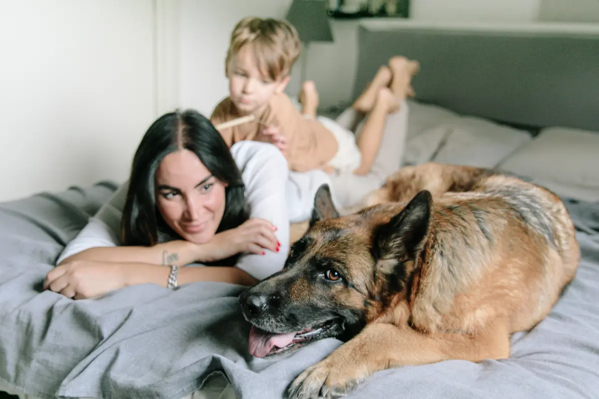 Familia de niño con perro. Foto: Canva