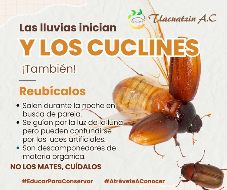 imagen-cuerpo imagen-cuerpo