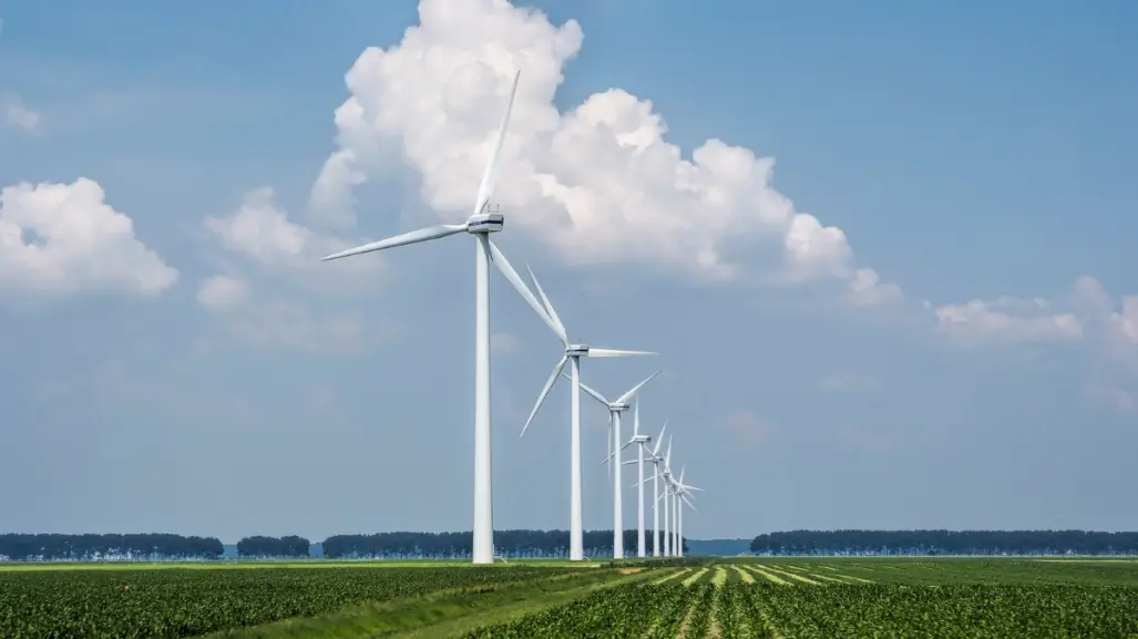Tamaulipas será sede del Foro Generación Eólica para fortalecer transición energética