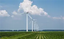 Tamaulipas será sede del Foro Generación Eólica para fortalecer transición energética