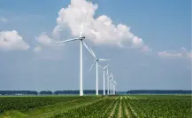 Tamaulipas proyecta siete nuevos parques eólicos y se perfila como líder en energía renovable