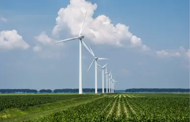 Tamaulipas proyecta siete nuevos parques eólicos y se perfila como líder en energía renovable