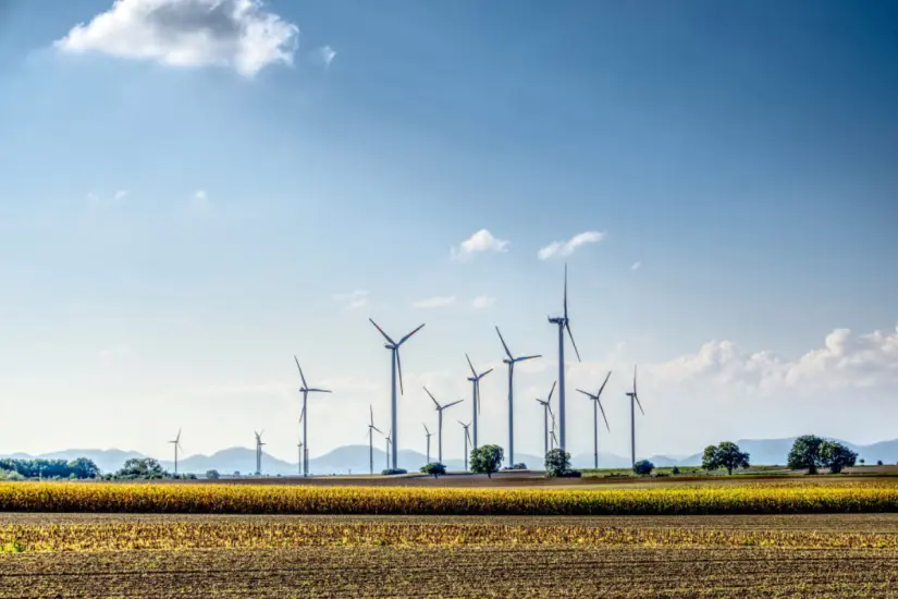 Al menos siete proyectos eólicos vienen para Tamaulipas. Foto: Freepik 