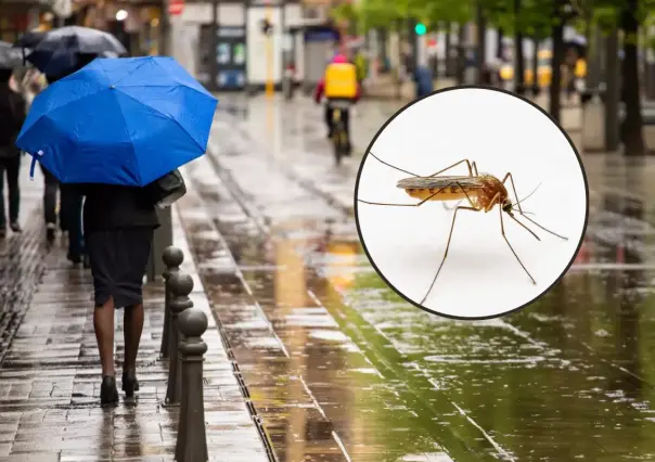 Dengue en CDMX: detectan mosquitos peligrosos en varias alcaldías de la capital