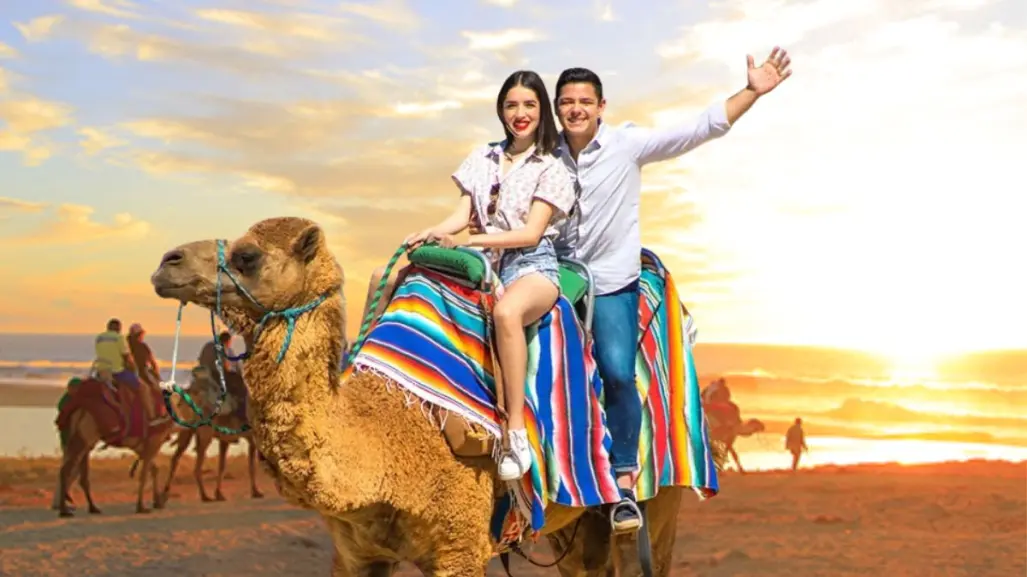 ¿Quieres montar un camello en la playa? Así puedes hacerlo en Los Cabos por 1,760 pesos