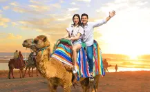 ¿Quieres montar un camello en la playa? Así puedes hacerlo en Los Cabos por 1,760 pesos